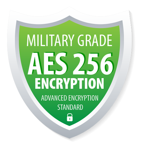 gotbackup aes256 protection